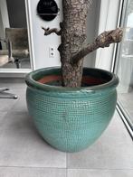 Appelboom in betonpot - Onderhoudsvrij!, Tuin en Terras, Bloempotten, Ophalen, Gebruikt, 40 cm of meer, Rond