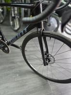 Zomeractie Giant TCR 105, Ophalen, 28 inch, Carbon, Heren