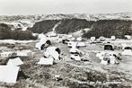 Egmond aan Zee - Caravankamp De Egmonden, Verzenden, 1940 tot 1960, Gelopen, Noord-Holland