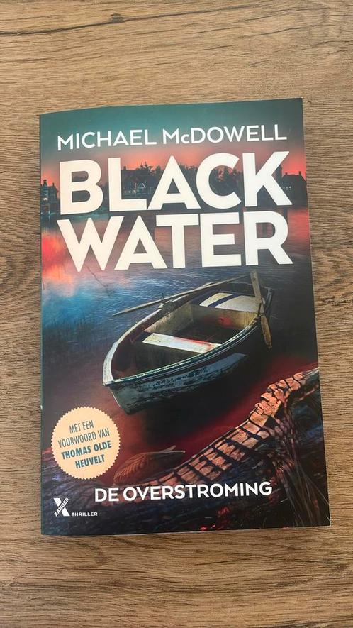 Michael McDowell - De overstroming, Boeken, Thrillers, Zo goed als nieuw, Nederland, Ophalen