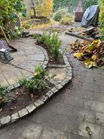 22 Ilex stekjes - 3 jaar oud - Marum, Tuin en Terras, Grind, Keien en Split, Ophalen, Overige materialen, Gebruikt, Overige typen