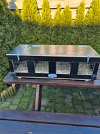 Vervoerskist 4 vaks, Mannelijk, Groot