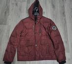 Donkerrode winterjas maat 54, Maat 52/54 (L), Mast, Ophalen of Verzenden, Gedragen