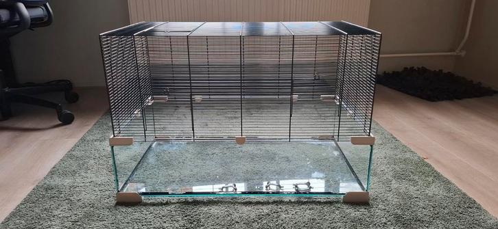 Knaagdierenkooi met accessoires en voeding, Dieren en Toebehoren, Knaagdieren en Konijnen | Hokken en Kooien, Gebruikt, Kooi, Minder dan 60 cm