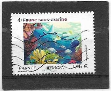 Frankrijk 2024 Faune sous-marine Europa Cept €1,96 beschikbaar voor biedingen