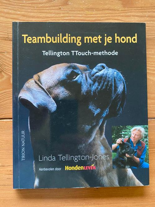 Teambuilding met je hond - Linda Tellington Jones, Boeken, Dieren en Huisdieren, Honden, Ophalen of Verzenden