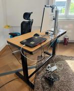 Electric desk, Ophalen, Zo goed als nieuw