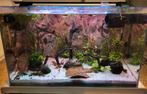 70 L Volglas aquarium compleet oa juwel helialux ZGAN!, Ophalen, Zo goed als nieuw, Filter of Co2