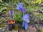 Krokus popje met bolletje lente seizoenstafel, Hobby en Vrije tijd, Vilt, Ophalen of Verzenden, Figuurtje(s), Wolvilt