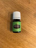 Young Living Kidscents Tummygize 5ml, Ophalen of Verzenden, Nieuw, Aroma