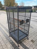 Papegaaienkooi, Dieren en Toebehoren, Vogels | Hokken en Kooien, Ophalen, Metaal, Vogelkooi