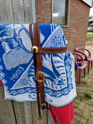 Prachtig hoofdstel,  Billy Cook  beschikbaar voor biedingen