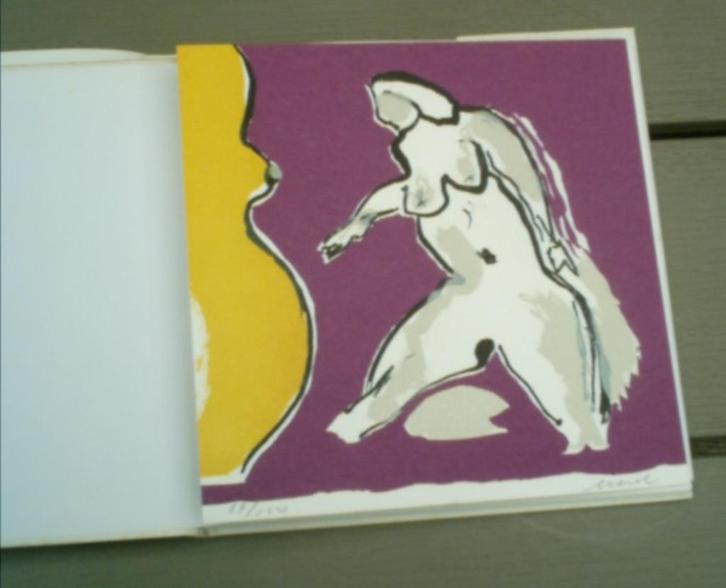 Leo Wesel (met losse lithografie). , Boeken, Kunst en Cultuur | Beeldend, Zo goed als nieuw, Ophalen of Verzenden