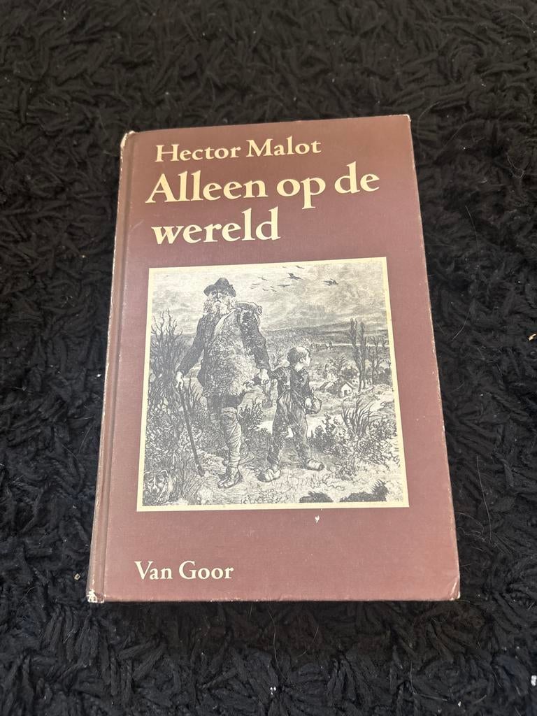 Alleen op de wereld - Hector Malot, Boeken, Literatuur, Ophalen of Verzenden, Gelezen, Nederland