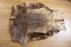 Rendierhuid te koop, Ophalen, Gebruikt, 100 tot 150 cm, Bruin