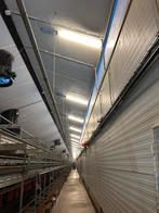 stal verlichting (pluimvee), Ophalen of Verzenden, Gebruikt, Overige typen