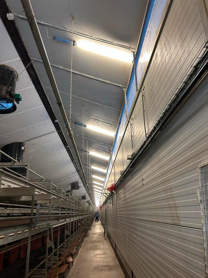 stal verlichting (pluimvee), Dieren en Toebehoren, Pluimvee | Toebehoren, Gebruikt, Overige typen, Ophalen of Verzenden