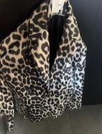 Shoeby blazer, Kleding | Dames, Zwart, Maat 42/44 (L), Ophalen of Verzenden, Zo goed als nieuw