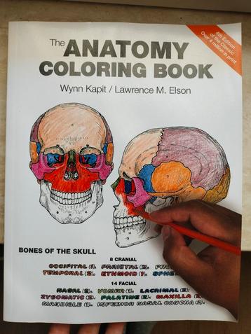 The Anatomy coloring book beschikbaar voor biedingen