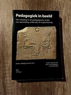 Pedagogiek in Beeld (2016), Boeken, Studieboeken en Cursussen, Ophalen of Verzenden, Zo goed als nieuw, WO