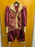 Carnavalskleding dameskleding, Ophalen of Verzenden, Zo goed als nieuw, Carnaval