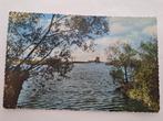 Biesbosch,  Sleurgat, Ophalen of Verzenden