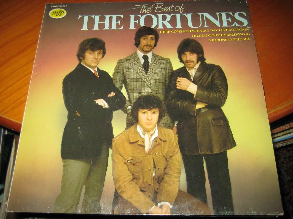 LP, The best of The Fortunes, Cd's en Dvd's, Vinyl | Pop, Ophalen of Verzenden, Zo goed als nieuw, 12 inch