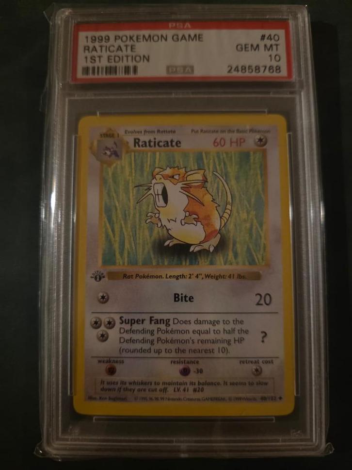 Raticate 1st Edition Shadowless PSA 10, Hobby en Vrije tijd, Verzamelkaartspellen | Pokémon, Nieuw, Ophalen of Verzenden