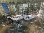 Streicher eenden, Dieren en Toebehoren, Meerdere dieren, Eend