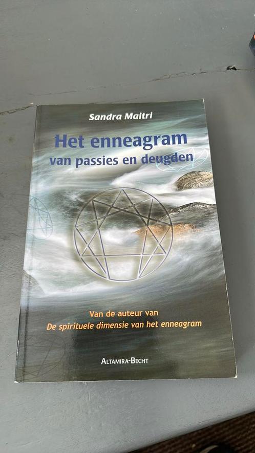 S. Maitri - Het enneagram van passies en deugden, Boeken, Wetenschap, Zo goed als nieuw, Ophalen of Verzenden