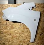 Spatbord Links en rechts Ford transit connect, Auto-onderdelen, Ophalen, Gebruikt, -, -