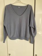No man’s land truitje M, Kleding | Dames, Truien en Vesten, Maat 38/40 (M), Ophalen of Verzenden, Zo goed als nieuw, Grijs