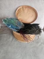 Spanen doos antieke veren zwart groen blauw pluimage, Antiek en Kunst, Ophalen of Verzenden