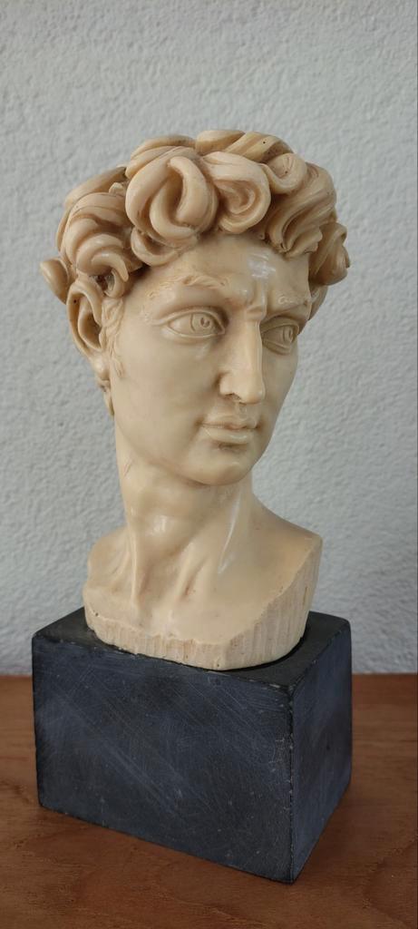 A.Santini Buste/beeld van David (Michelangelo), Antiek en Kunst, Kunst | Beelden en Houtsnijwerken, Ophalen of Verzenden