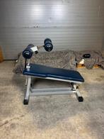 Technogym ab crunch bench buikspier bank  (bezorgen mogelijk, Ophalen of Verzenden, Zo goed als nieuw, Fitnessbank
