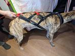 honden harnas Non-stop freemotion 5.0, blauw of rood, Dieren en Toebehoren, Honden-accessoires, Ophalen of Verzenden, Zo goed als nieuw
