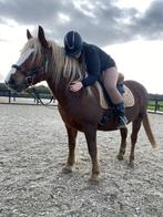 Bijrijder gezocht in Leersum, Ophalen