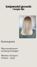 Model gezocht knippen massief, Ophalen of Verzenden, Zo goed als nieuw, Pruik of Haarverlenging