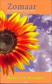 Zomaar een boekje tussendoor / Noor van Haaften., Boeken, Godsdienst en Theologie, Zo goed als nieuw, Christendom | Protestants