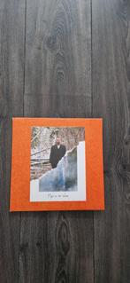 Lp Justin Timberlake - Man of the Woods, Ophalen of Verzenden, 1960 tot 1980, Gebruikt, 12 inch
