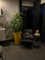 Bloempot Elho oker, Ophalen, Kunststof, Overige kleuren, 50 tot 75 cm