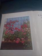 Kamerplanten uit 1928, Boeken, Prentenboeken en Plaatjesalbums, Ophalen of Verzenden, Zo goed als nieuw