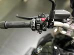BMW R 1250 R, 1254 cc, Cruise Control, Bedrijf, Meer dan 35 kW