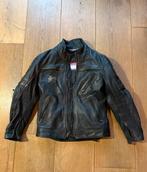 Stoer Evolution motor jasje maat 36/xs, Ophalen, Tweedehands, Jas | leer