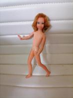 Vintage barbie poppen skipper, Ophalen of Verzenden, Gebruikt, Fashion Doll