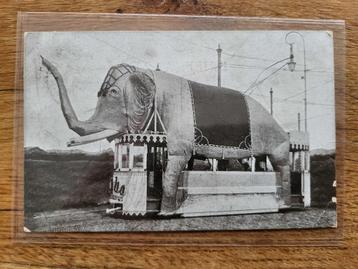ansicht Tram de Olifant 1909 ZELDZAAM Scheveningen Den Haag beschikbaar voor biedingen
