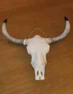 Buffel schedel, Ophalen