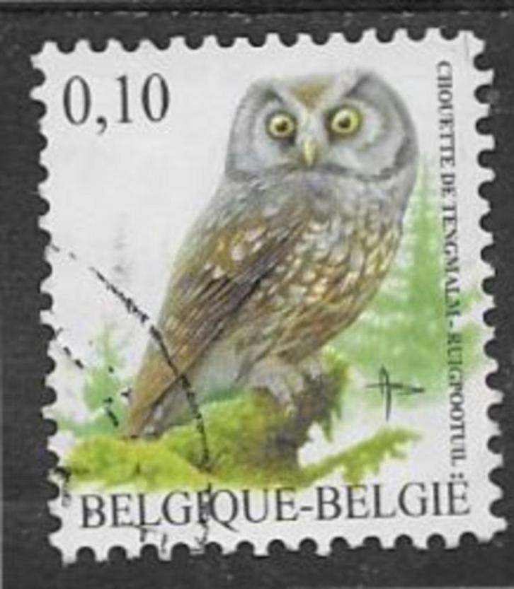 Belgi"2007   Vogel   Ruigpootuil    3674, Postzegels en Munten, Postzegels | Europa | België, Gestempeld, Verzenden