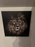 Leeuw Schilderij, Ophalen of Verzenden, Zo goed als nieuw, Schilderij, Minder dan 50 cm