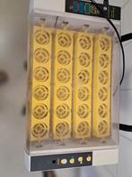 Broed machine, Geslacht onbekend, Wildzangvogel